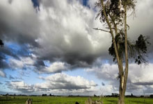 金年会app登录-F1车队回归首秀大放异彩，费德勒主场球迷高呼名字